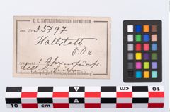 Etikett zu Eberzahnanhänger (NHMW-PRAE-035797)